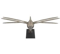 HiPlay MENG MMS-014 - Kits de modelo de plástico: Harkonnen Ornithopter, sin pegamento, separación de color