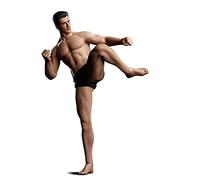 HiPlay TBLeague - Figura masculina superflexible a escala 1/12, juego de figura coleccionable sin costuras de 6 pulgadas (TM01A), marrón