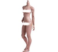 HiPlay WorldBox 1:6 Escala femenina sin costuras figura de acción corporal - Slim Body Shape, Fair Skin (AT201 Wheat Skin)