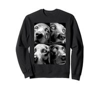 Hipnótico Labrador Retrievers Ojos Extraños Weirdcore Halloween Sudadera