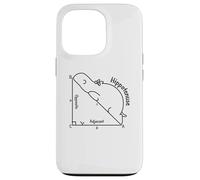 Hipopótamo Hipotenusa Estudiante de Matemáticas Profesor Declaración Divertido Carcasa para iPhone 13 Pro