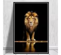 HIPWST Animales modernos León en la oscuridad Pintura en lienzo León africano Póster e impresión Arte de pared Imagen Decoración del hogar 20x30cm Sin marco