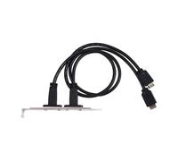 Hipzeepo Cable Deflector USB 3.2 Tipo e A USB-C Tipo C Hembra de 50 cm para Panel Frontal.