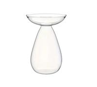 Hipzeepo Jarrón Hidropónico de Aguacate, Transparente, para Cultivo de Plantas, de Vidrio, para Maceta (1 Unidad)