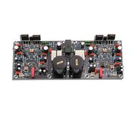 Hipzeepo Réplica de la Placa Amplificadora SF60, Placa Amplificadora de Alta Potencia de Fever, Doble Canal, Clase A y B, Super LM3886 TDA7293