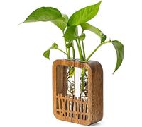Hipzeepo Terrario Hidropónico de Madera de Nogal con Soporte Bohemio para Plantas, 2 Jarrones de Vidrio con Forma de Tubo de Ensayo para Decoración de Escritorios de Oficina y Hogar.
