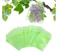 HIQE-FL 100 Piezas Bolsas de Protección de Frutas,20x30cm Bolsas Protectoras de Uvas,Bolsas Protectoras para Fruta,Evitar Que Avispas,Moscas de la Fruta,Aves y Otros Insectos invadan la Fruta
