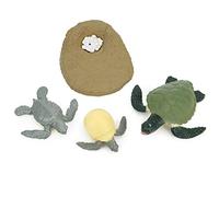 Hiraith Juguete Modelo de Ciclo de Vida Animal de Simulación para Niños, Moldeador Integrado Que No Se Decolora, Lavable con Agua, Aprender Jugando, Ampliar el (Ciclo de Crecimiento de Las Tortugas)