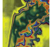 Hiro Kone - A Fossil Begins To Bray [Vinilo]