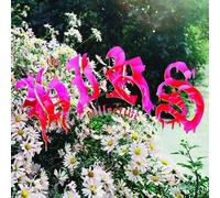 Hirs Collective - We're Still Here [Vinilo]