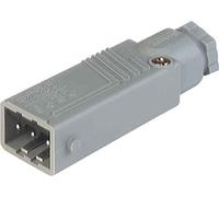 Hirschmann Icon 4002044217372 STAS 3 N gr Sensor Actuador Conector