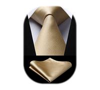 HISDERN 3.3" Champagne Gold Tie and Pocket Square Set Wedding Party Business Formal Silk Necktie for Men - Multiple Color