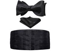 HISDERN Faja de Esmoquin Cintura Negro - Fajines para Hombre y Pajarita y Pañuelo de Bolsillo Satén Fajín Ajustable - Set de Tres Piezas