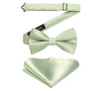 HISDERN Pajarita Hombre Verde Salvia Elegante Pre-atado y Ajustable Pajarita y Pañuelo de Bolsillo para Boda Formal Fiesta y Graduación