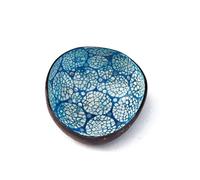 Hiseng Cuencos de Coco Estampados Clásicos,Cuenco de Cáscara de Coco Natural Floral Pintado,Cáscara de Coco para Decoración del Hogar,Caja para Guardar Llaves (Azul)