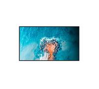 HISENSE HIS-55DM66D Digital-Signage-Monitor 55" 4K - Lokale Digital Signage über USB - Cloud-Digital-Signage VisionInfo (optiona