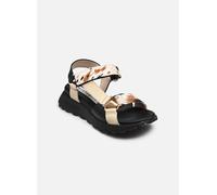 Hispanitas AMBAR-V26 CHV264807 42 Multicolor