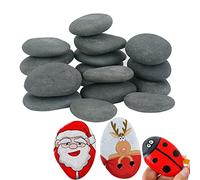 Hisredsun 16 piedras de pintura, piedras para pintura artística y manualidades, piedras grandes lisas para pintar, piedra natural de río de 5 a 8 cm