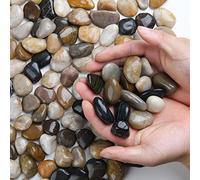 Hisredsun 4,8 kg de piedras decorativas guijarros de río, rocas pulidas para plantas de interior en terrarios, grava, piedras decorativas para macetas de plantas suculentas, relleno para jarrones