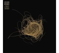 Hiss Golden Messenger Terms of Surrender (CD) Album