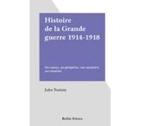 Histoire De La Grande Guerre 1914-1918 (ebook)
