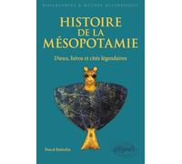 Histoire de la Mésopotamie. Dieux, héros et cités légendaires (Biographies et mythes historiques)