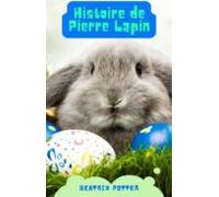 Histoire De Pierre Lapin (ebook)