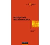 Histoire Des Mathématiques (ebook)