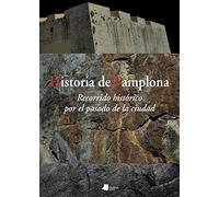 Historia de Pamplona: Recorrido histórico por el pasado de la ciudad: 221 (Ensayo y Testimonio)