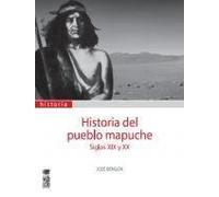 Historia Del Pueblo Mapuche S Xix Y Xx