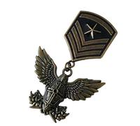 histórica desgastada Pin marcial coleccionable para entusiastas de la historia Emblemas de eventos temáticos de coleccionista Regalo único para coleccionistas