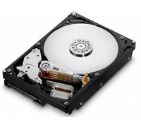 Hitachi 8.9cm (3.5") 1TB SATA HUA722010CLA330/0A39289 Rai