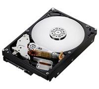 Hitachi - Deskstar 7K1000.B - Disco duro - 1 TB - interno - 3,5" - SATA-300 - 7200 rpm - búfer: 16 MB