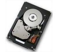 Hitachi Ultrastar 15K147 73GB 3.5" 73,4 GB Fibre Channel Unidad de - Disco Duro (3.5", 73,4 GB, 15000 RPM)