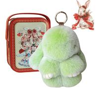HItianya Bunny Keychain with Tin Box, 2026 New Soft Fluffy Bunny Keychain with Tin Case, Little Pocket Bunny In a Tin for Women and Girls,Thoughtful Gift for Friends (I)
