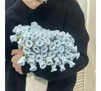 HItianya Flower Blanket, Flower Bouquet Blanket, DIY Rose Blankets, Crocheted Flowers Blankets for Sofa, Boho Throwblanket, Gift for Mother's Day, Birthday, Wedding (Typ B)