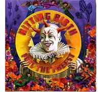 Hitting Birth - Feel the Freest