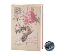 HIULLEN Diario de almacenamiento, libro de diccionario, caja fuerte con llaves, caja fuerte para libros, caja de seguridad para libros para dinero joyas y documentos de valor (estilo rosa diaría)