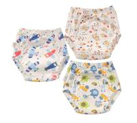 Hixingo Bragas de Aprendizaje Niña, Calzones de Entrenamiento Niño Pañal de Aprendizaje 1-6 Años Pantalones de Entrenamiento 3 Piezas Pañales de Tela Reutilizables Transpirable (Estilo 12,110)