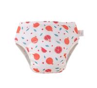 Hixingo Bragas de Aprendizaje Niña, Calzones de Entrenamiento Niño Pañal de Aprendizaje 1-6 Años Pantalones de Entrenamiento 2 Piezas Impresión Fruta Pañales de Tela (Granada A,S)