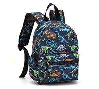 Hixingo Niños Mochilas de Doble Capa - Patrón de Auto Bolsa para la Escuela Dibujos Animados Mochila con Bolsillos Laterales Escuela Primaria Kindergarten Mochilas (Dinosaurio,S 20x10x26.5cm)