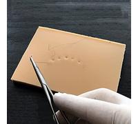 hixswnu Almohadilla de Silicona Reutilizable para párpados Dobles: Modelo de Piel de sutura, Almohadilla de práctica de sutura para Desarrollo y Entrenamiento de Habilidades