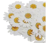 HiyyFloy 12 Uds. De Flores Prensadas Secas Naturales, Margaritas Blancas, Flores Prensadas para Joyería De Resina, Pegatinas para Uñas, Manualidades Artísticas De Maquillaje