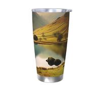 HJBNW Vaso de acero inoxidable de 20 onzas con tapa y pajita, doble pared aislada al vacío, taza de café de viaje con aislamiento al vacío, taza de café del distrito de los lagos, 3 vasos de café