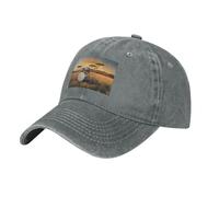 HJFCZH Gorra de béisbol negra de vaquero con diseño de tambor musical en campo de algodón ajustable para hombres y mujeres, transpirable y elegante, gris, Talla única