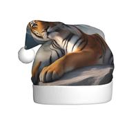 HJFCZH Majestic Tiger Resting on a Rock with Cloudy Sky Prints Christmas Hat for Adult for Christmas, Halloween, New Year Sales, Promotions