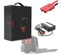 HJGHY Batería de 48V 10Ah 15Ah 20Ah para transpaleta eléctrica. Batería de fosfato de Hierro y Litio LiFePO4 de 48 voltios con asa y BMS para Carretilla elevadora/apiladora eléctrica.,48v10ah