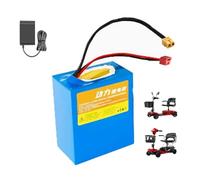 HJGHY Batería de Litio para Bicicleta eléctrica de 24 V, 12 Ah, 20 Ah y 30 Ah, para Silla de Ruedas eléctrica de 24 voltios y Scooter para Personas Mayores con Cargador.,24v,20Ah
