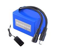 HJGHY Batería de polímero de Litio de 12 V, 24 V, 3000 mAh, 5000 mAh, 8000 mAh, 10 000 mAh y 15 000 mAh, Recargable con Puerto de CC para Tiras LED y cámaras CCTV.,24v,3000mAh