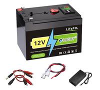 HJGHY Batería LiFePO4 de 12,6V y 2Ah, 4Ah, 6Ah, 8Ah, 10Ah, 12Ah, 15Ah. Batería portátil para Exteriores de 12,6V con Interruptor para Aplicaciones Fuera de la Red eléctrica.,12.6v4ah Charger
